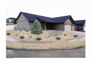 Animated landscape design